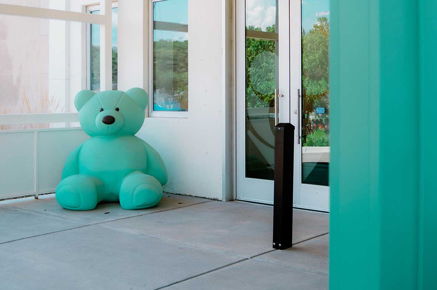Meet Rudy Bear - The Children's Place